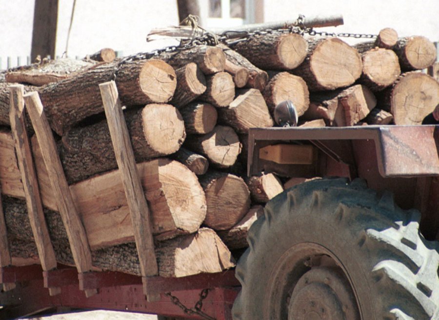 “Flakë” edhe çmimi i drunjve, 50 euro metra