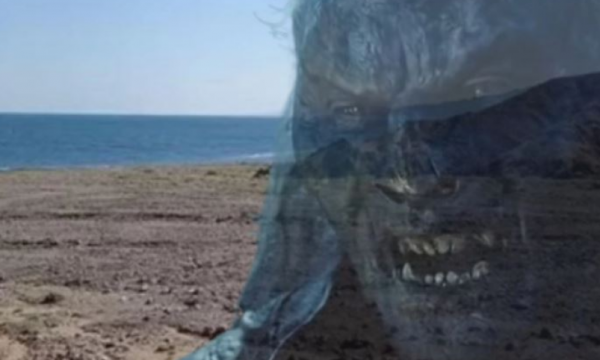 Mister në plazhin egjiptian, gjendet një krijesë e çuditshme