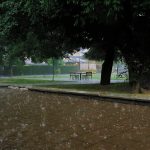 Rikthehen reshjet e shiut në Gjakovë