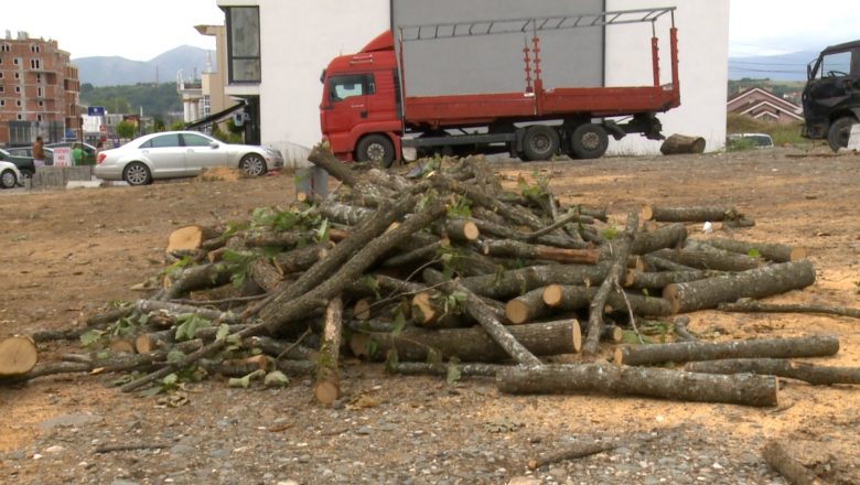 Sharraxhinjtë rrisin çmimin – mësoni edhe sa kushton një metër dru në Gjakovë