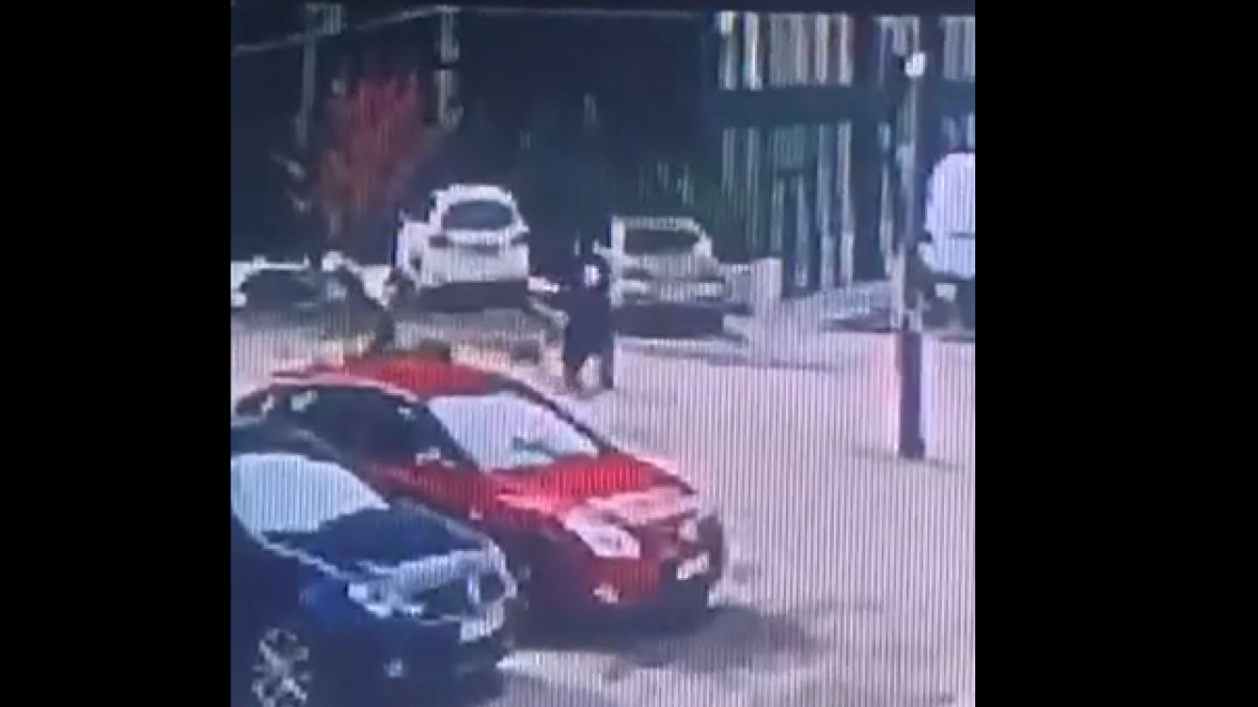 Një grua sulmohet nga disa qen endacakë, shpëtohet nga një kalimtar rasti (Video)
