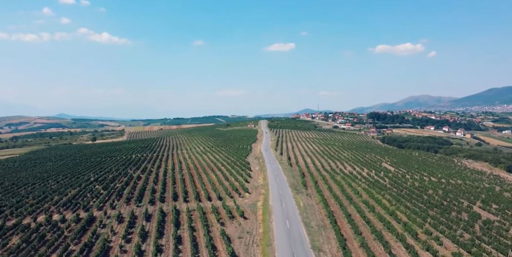 Dosja Historike – Rahoveci, vendi i prodhimit të verërave qysh para 2000 viteve