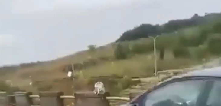 Një grua hidhet nga ‘Ura e Fshajtë’ në Gjakovë – pamje nga vendi i ngjarjes