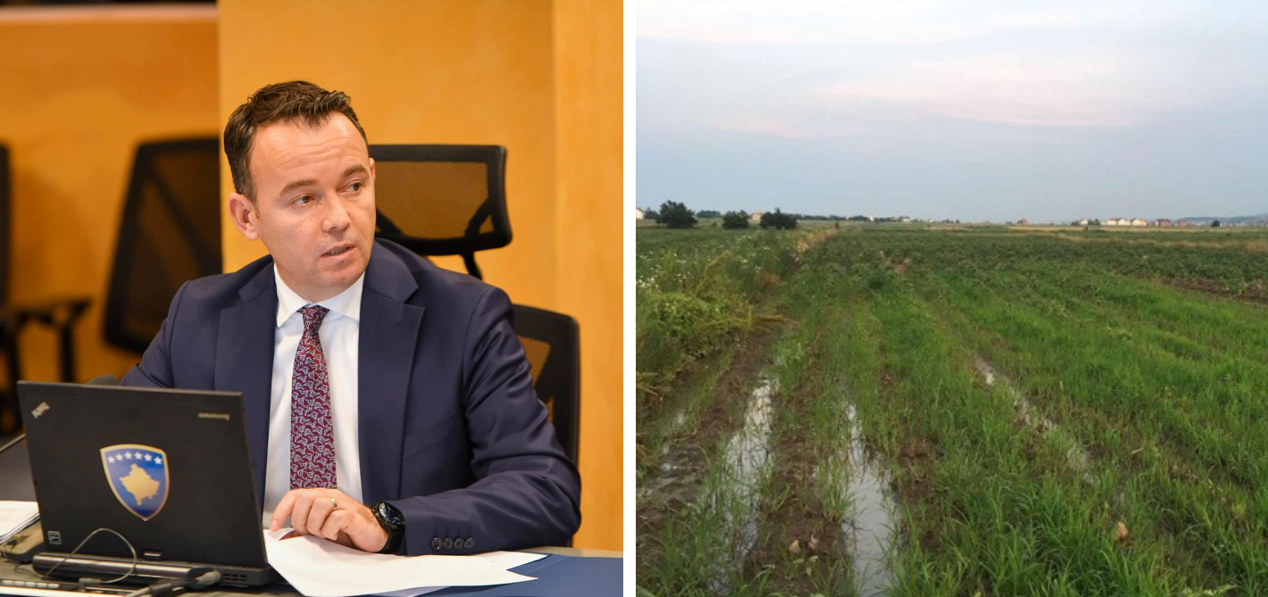 3 hektarë patate ia dëmtoi shiu: Ministria e Bujqësisë ende nuk ja ka kompensuar dëmet bujkut nga Mitrovica
