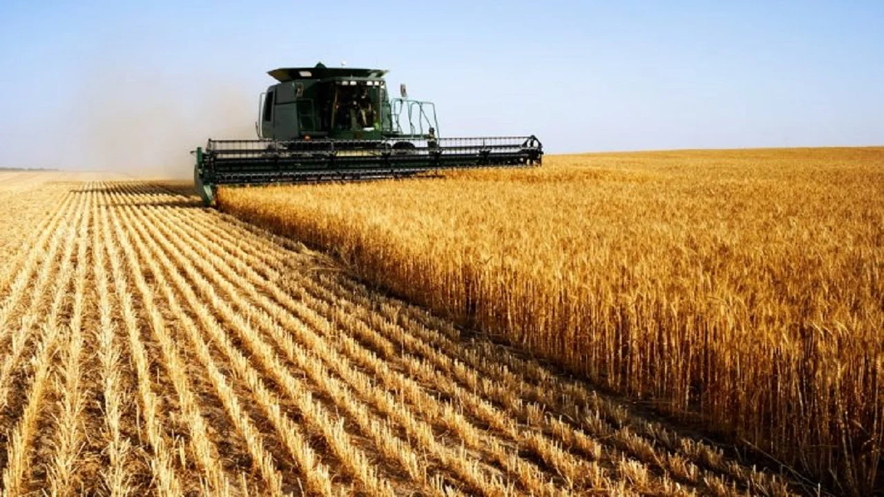Bujqit ankohen për ngritjen e çmimeve të naftës e cilësinë e farës së grurit