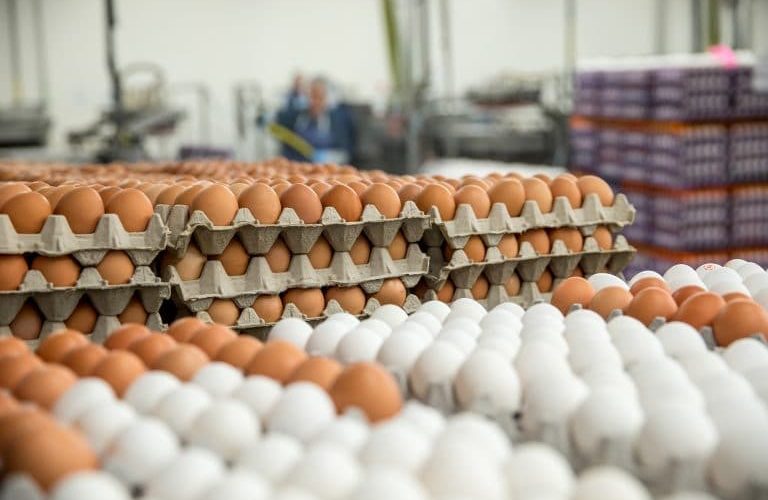 Ringritet çmimi i vezëve në Kosovë