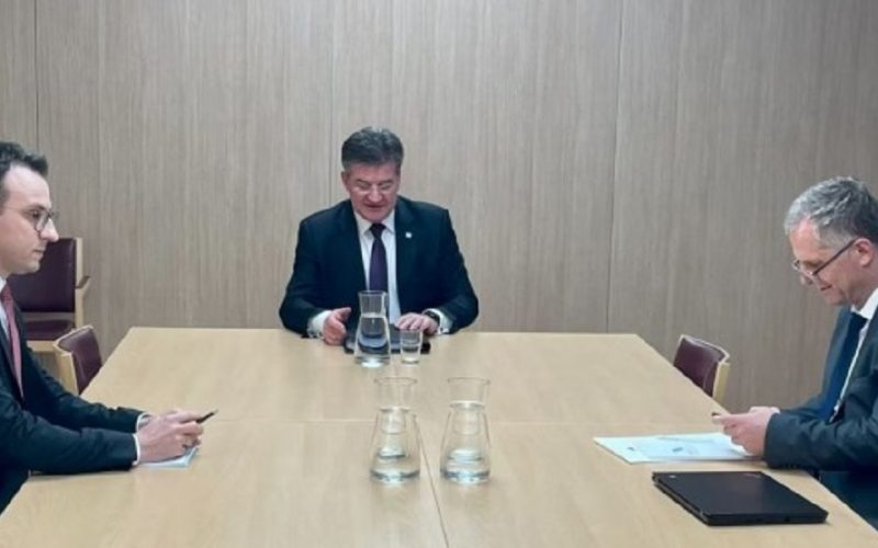 Qeveria jep detaje për takimin Bislimi-Petkoviq në Bruksel