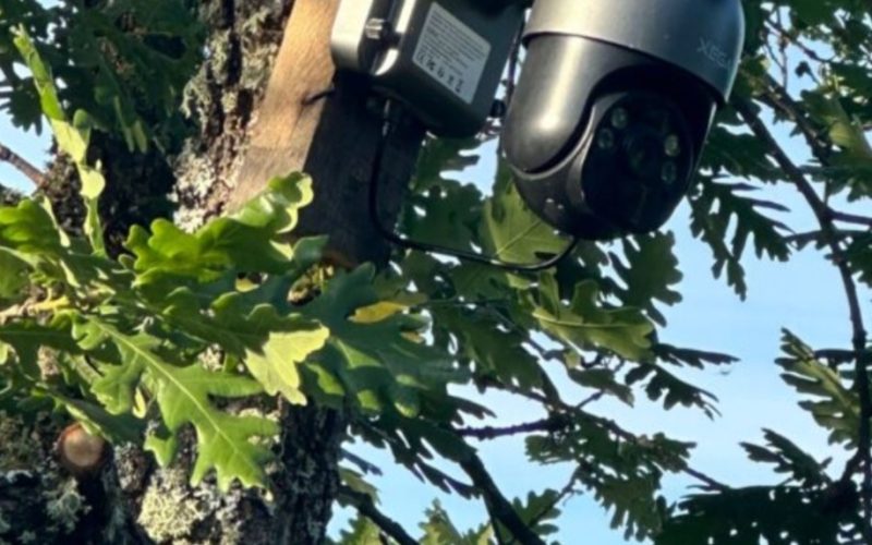Policia gjen dy kamera që ishin vendosur pa autorizim në brezin kufitar mes Kosovës dhe Serbisë – arrestohet një i dyshuar