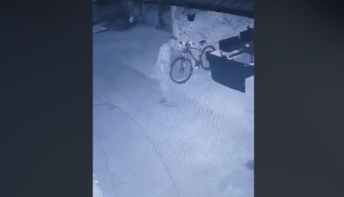 Pretendojnë se Faton Hajrizi ka vjedhur një biçikletë, mediet serbe publikojnë një video